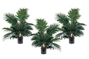 Palm Tree 700mm High - Set of 3