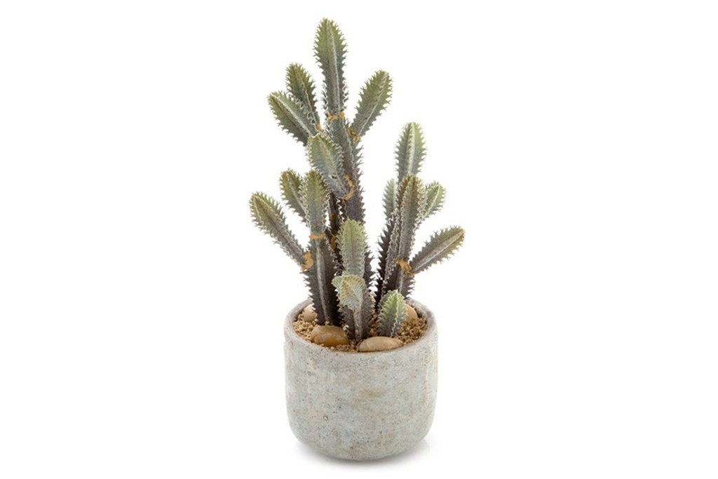 [C138GR|49()] Flora Artificial Desert Cactus 320mm