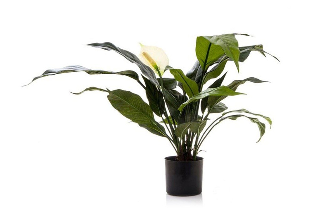 [DBSL53W|128()] Flora Artificial Spathiphyllum Lily 530mm White