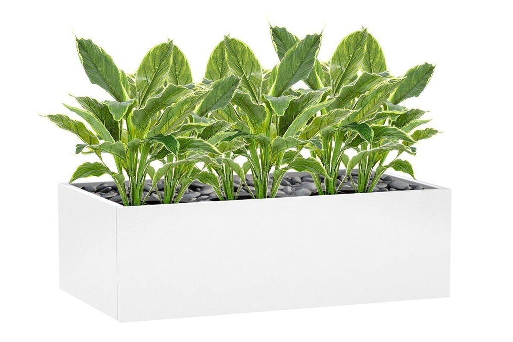 [H135|162(H135,H135,H135,H135,H135|0,0,0,0,0)] Flora Hosta Plant Real Touch in Pot - Set of 6