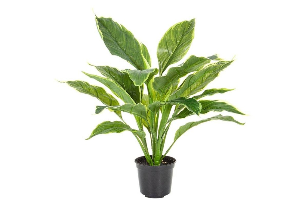 [H135|27()] Flora Hosta Plant Real Touch in Pot