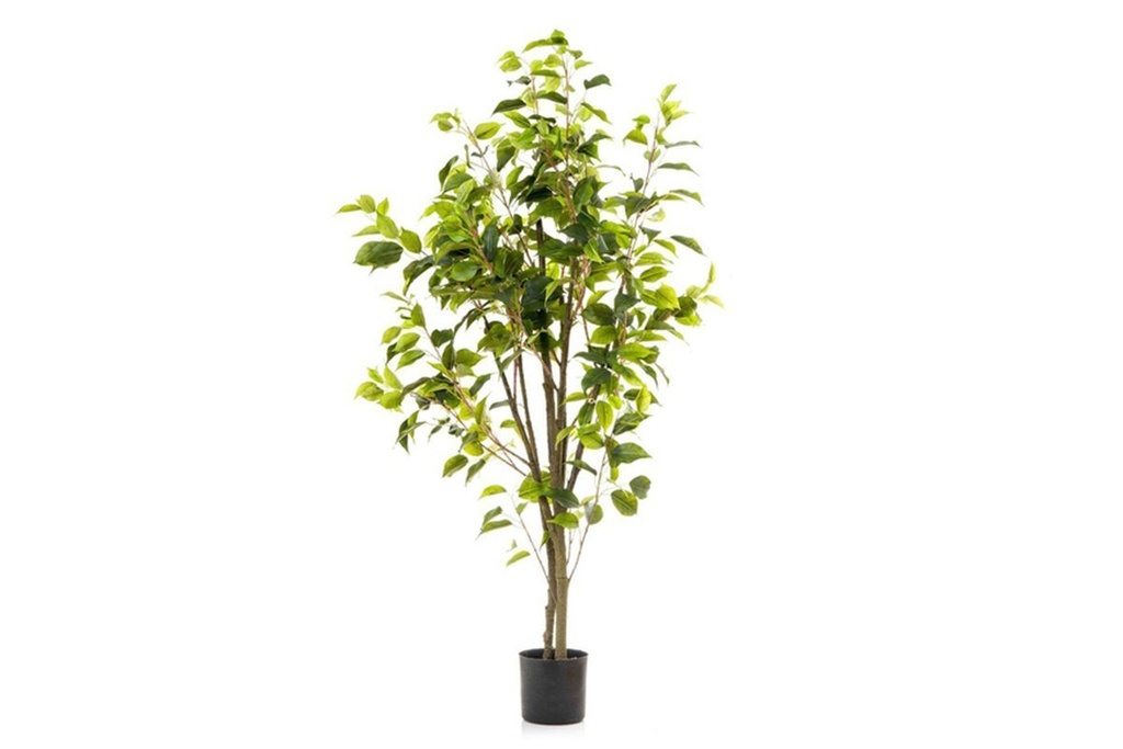 Flora Artificial Ficus 1200mm