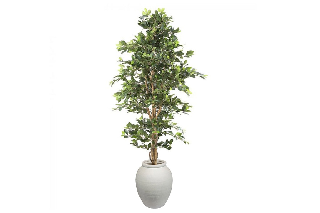 Flora Artificial Ficus Retusa Bush Tree 1800mm