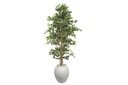 Flora Artificial Ficus Retusa Bush Tree 1800mm