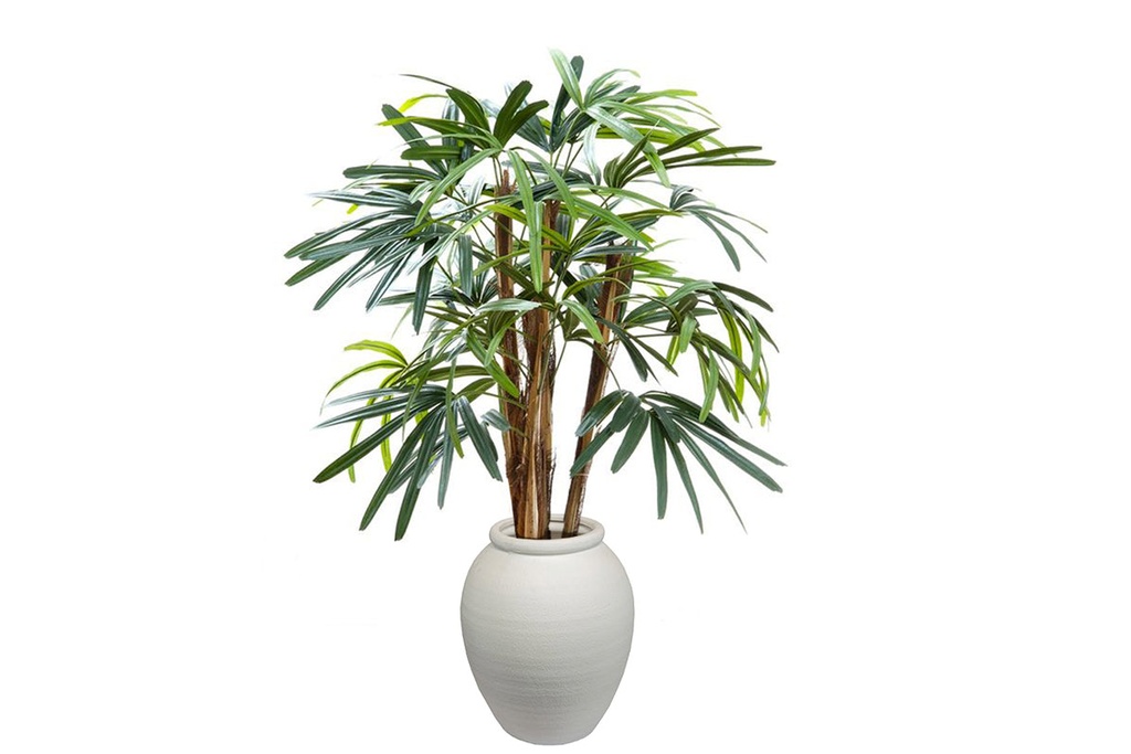 [NONE|0(DBRP2236|254)] Flora Artificial Raphis Palm with 236 Leaves 1000mm