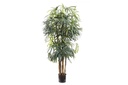 Flora Artificial Raphis Palm (Broad Leaf) 1800mm
