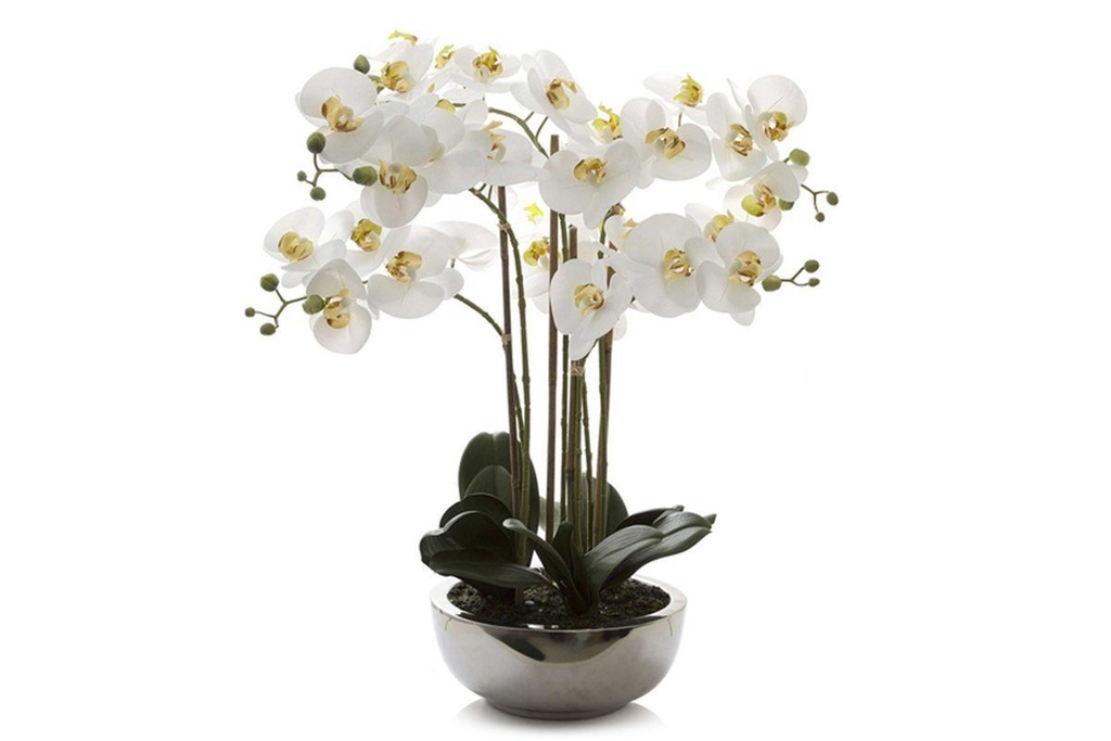 [O207|213()] Flora Artificial Real Touch Phal Orchid in Silver Pot