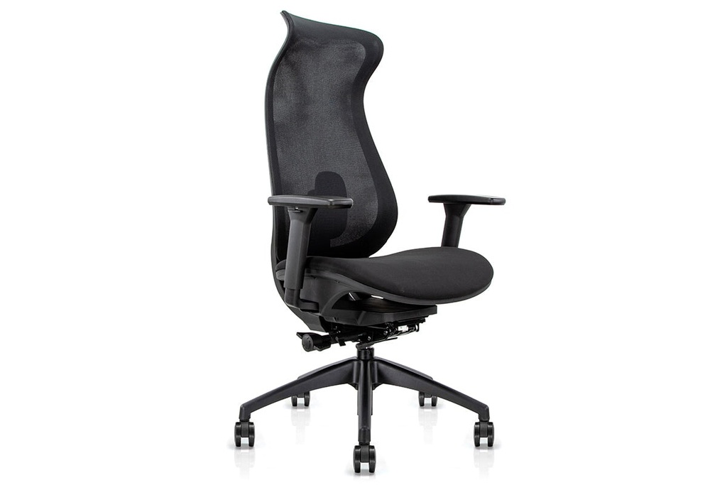 Pelican Ergonomic High Back Mesh Chair