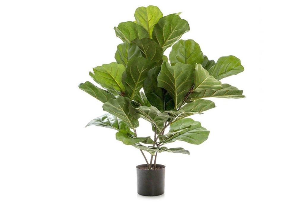 [TCFID6536|107()] Flora Fiddle Leaf Fig Potted Plant with 36 Leaves 650mm H