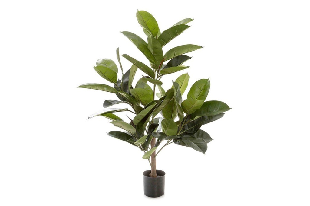 [TCRUB9658|163()] Flora Rubber Plant Tree with 58 Leaves 960mm H