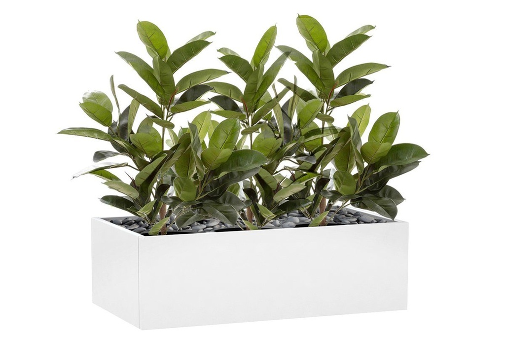 Flora Rubber Plant Tree with 58 Leaves 960mm H - Set of 3