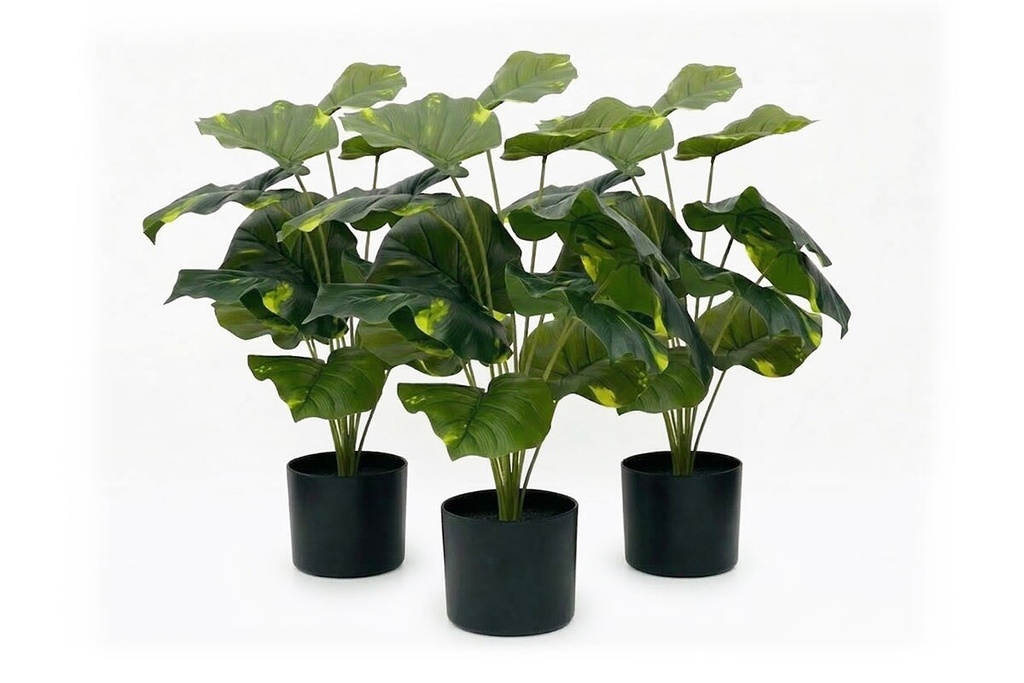 Artificial Taro Leaves in Black Pot - Pack of 3