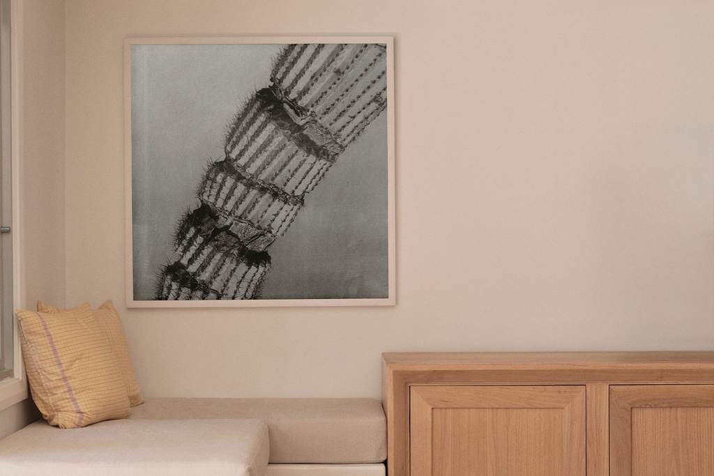 [6001-154-01-07] Cacti Series - The Cactus Spine