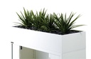 Planter Box