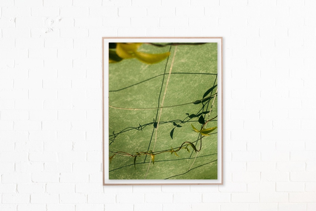 Flora 001